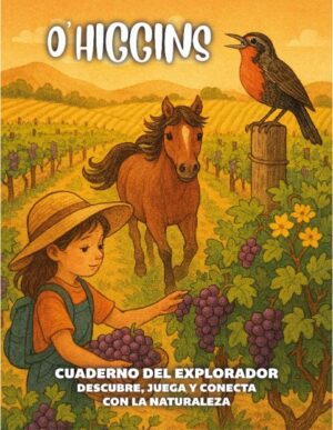 O´Higgins
