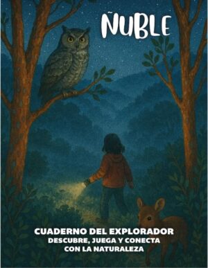 Ñuble